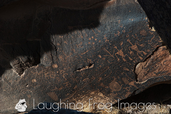 Petroglyphs of Petrified Forest N.P. 5