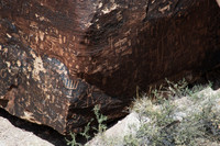 Petroglyphs of Petrified Forest N.P. 7