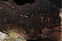 Petroglyphs of Petrified Forest N.P. 8