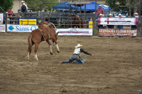 San Dimas Rodeo 2015