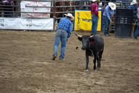 San Dimas Rodeo 2015