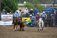 San Dimas Rodeo 2015