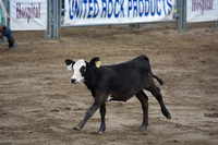 San Dimas Rodeo 2015