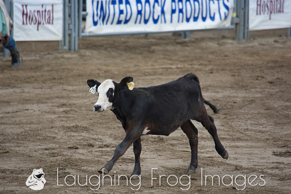 San Dimas Rodeo 2015