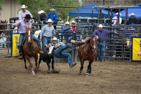 San Dimas Rodeo 2015