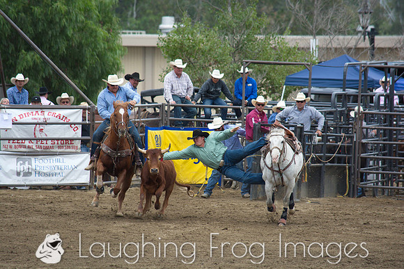 San Dimas Rodeo 2015