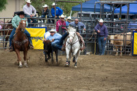San Dimas Rodeo 2015