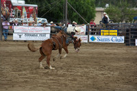 San Dimas Rodeo 2015
