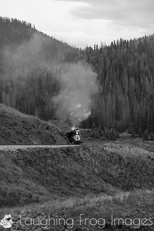 DRGW 315 Photo Freight on the C&TS RR, Los Pinos
