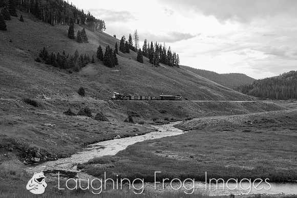 DRGW 315 Photo Freight on the C&TS RR, Los Pinos