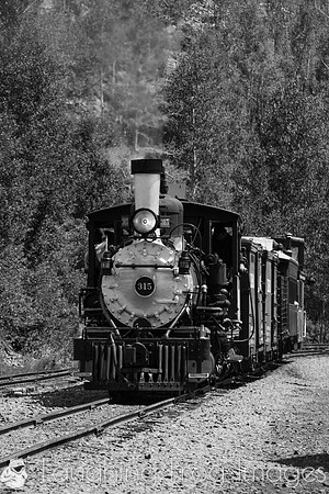 DRGW 315 Photo Freight on the C&TS RR, Sublette