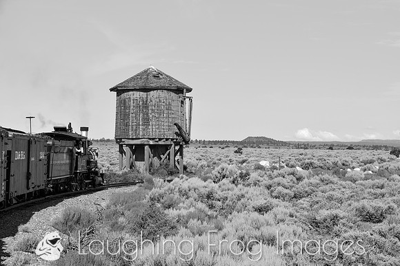 DRGW 315 Photo Freight on the C&TS RR, Lava Tank