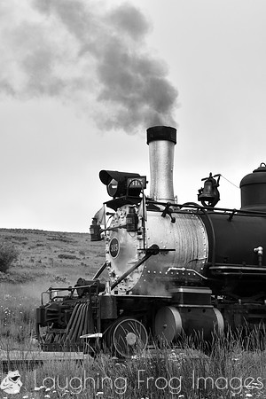 DRGW 315 Photo Freight on the C&TS RR, Osier