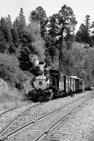 DRGW 315 Photo Freight on the C&TS RR, Sublette