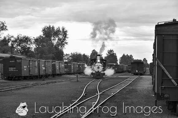 DRGW 315 Photo Freight on the C&TS RR, Chama