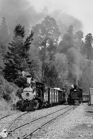 DRGW 315 Photo Freight on the C&TS RR, Sublette