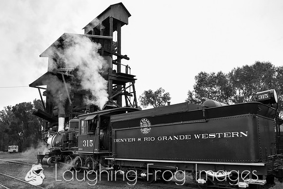 DRGW 315 Photo Freight on the C&TS RR, Chama