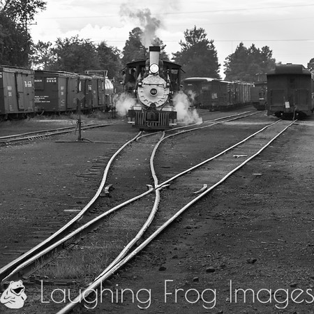 DRGW 315 Photo Freight on the C&TS RR, Chama