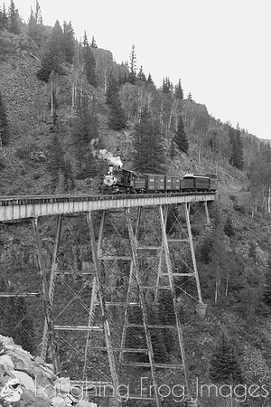 DRGW 315 Photo Freight on the C&TS RR, Cascade Trestle