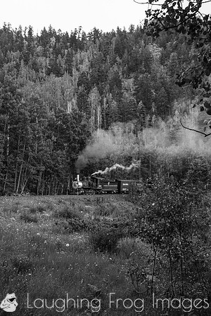 DRGW 315 Photo Freight on the C&TS RR, Toltec Creek