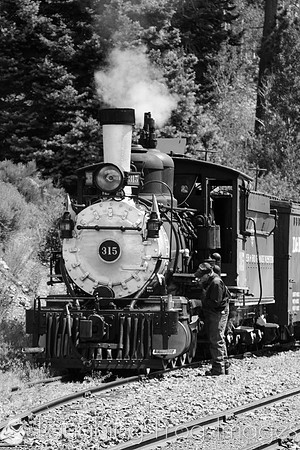 DRGW 315 Photo Freight on the C&TS RR, Sublette