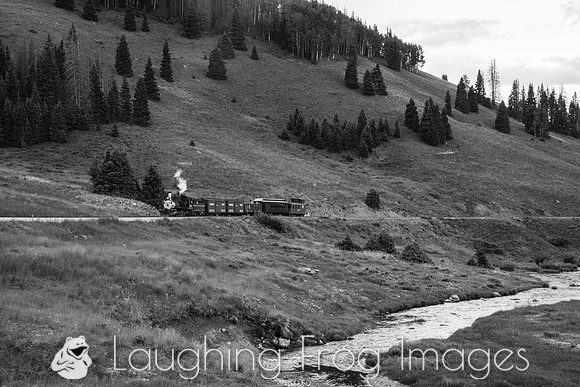 DRGW 315 Photo Freight on the C&TS RR, Los Pinos