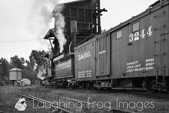 DRGW 315 Photo Freight on the C&TS RR, Chama