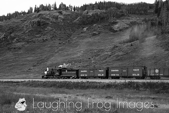 DRGW 315 Photo Freight on the C&TS RR, Los Pinos