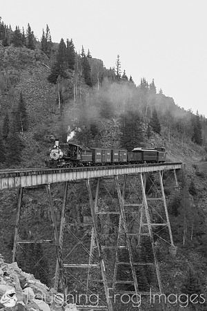 DRGW 315 Photo Freight on the C&TS RR, Cascade Trestle