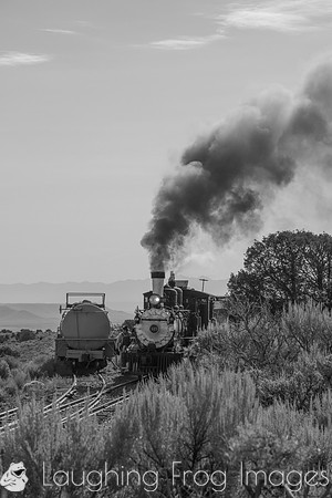 DRGW 315 Photo Freight on the C&TS RR, Lava Tank
