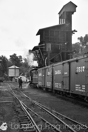 DRGW 315 Photo Freight on the C&TS RR, Chama