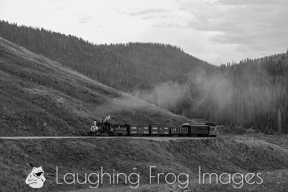 DRGW 315 Photo Freight on the C&TS RR, Los Pinos