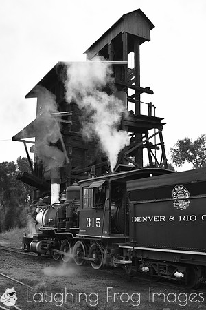 DRGW 315 Photo Freight on the C&TS RR, Chama