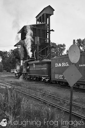 DRGW 315 Photo Freight on the C&TS RR, Chama