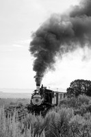 DRGW 315 Photo Freight on the C&TS RR, Lava Tank