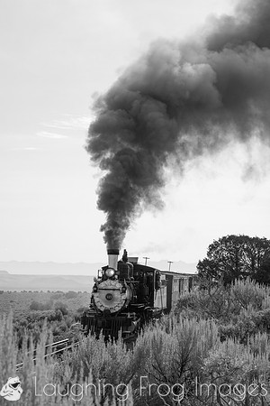 DRGW 315 Photo Freight on the C&TS RR, Lava Tank