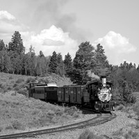 DRGW 315 Photo Freight on the C&TS RR