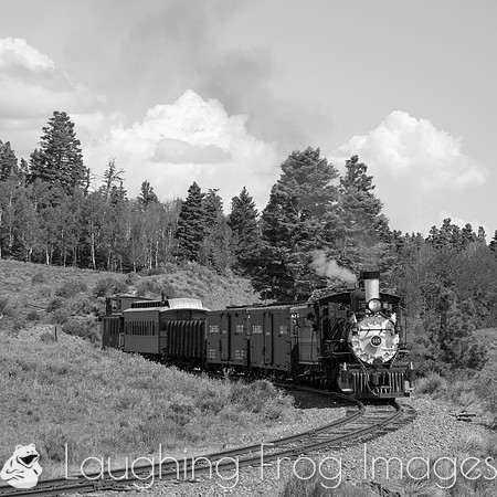 DRGW 315 Photo Freight on the C&TS RR