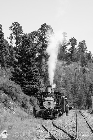 DRGW 315 Photo Freight on the C&TS RR, Sublette