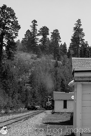DRGW 315 Photo Freight on the C&TS RR, Sublette