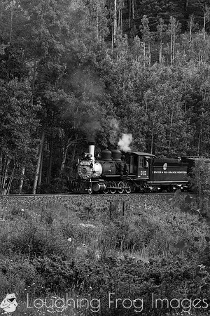 DRGW 315 Photo Freight on the C&TS RR, Toltec Creek