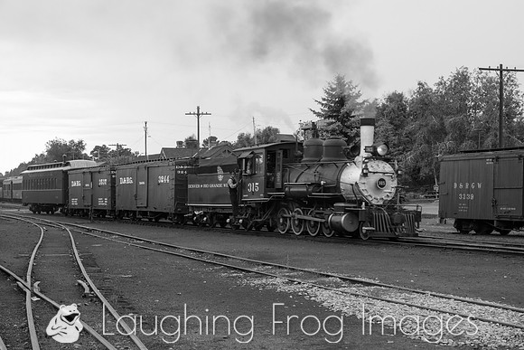 DRGW 315 Photo Freight on the C&TS RR, Chama