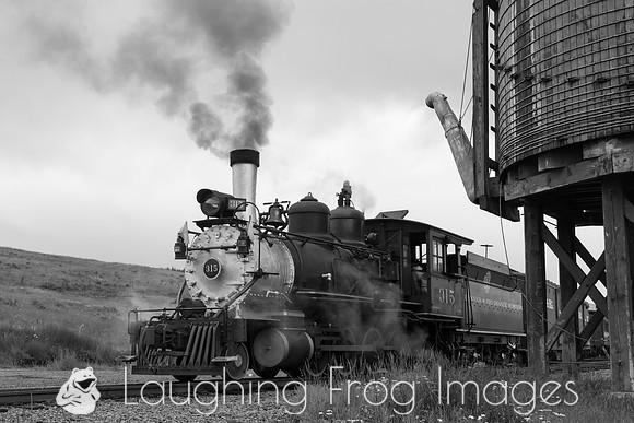 DRGW 315 Photo Freight on the C&TS RR, Osier