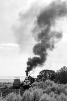 DRGW 315 Photo Freight on the C&TS RR, Lava Tank