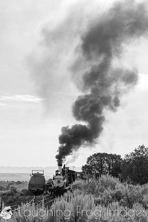 DRGW 315 Photo Freight on the C&TS RR, Lava Tank