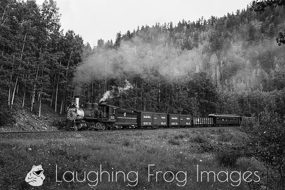 DRGW 315 Photo Freight on the C&TS RR, Toltec Creek