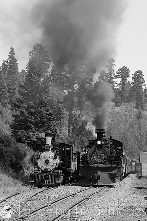 DRGW 315 Photo Freight on the C&TS RR, Sublette