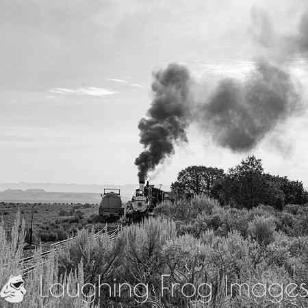 DRGW 315 Photo Freight on the C&TS RR, Lava Tank