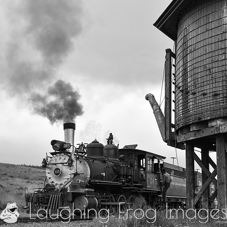 DRGW 315 Photo Freight on the C&TS RR, Osier