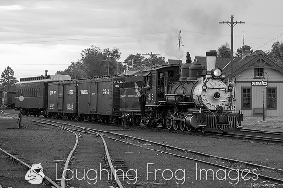 DRGW 315 Photo Freight on the C&TS RR, Chama